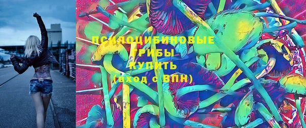 прущий лед Нея