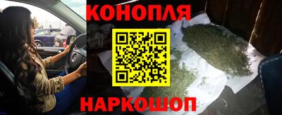 шишки Пугачёв