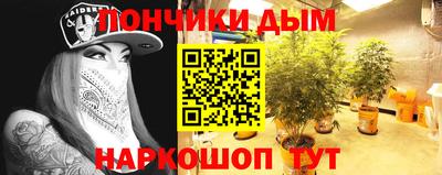 шишки Пугачёв