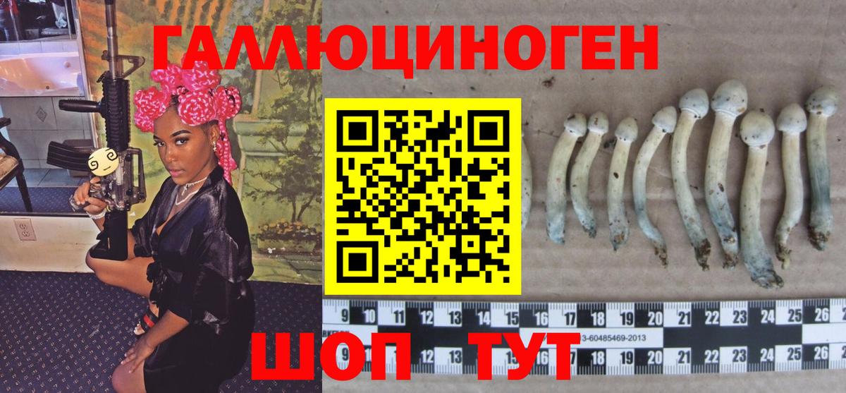 Галлюциногенные грибы мицелий  продажа наркотиков  Псилоцибиновые грибы GOLDEN TEACHER  Торжок  Вход с VPN 