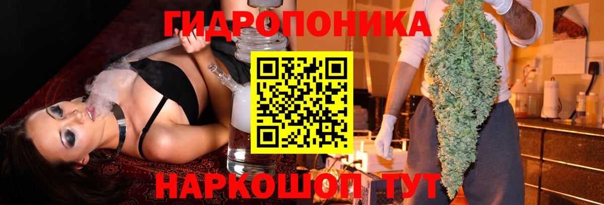 Шишки марихуана OG Kush Торжок